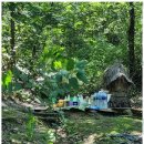 도원사 | 본오동점집 내 마음의 길잡이 도원사 방문 후기