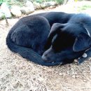 천상천하농장 이미지