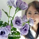 푸른장미 이미지