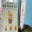 하르방조청 이미지