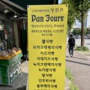 팡쥬르 이미지