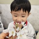 한국체대 천마 태권도장 이미지