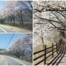 봉산휴게쉼터