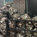 돌다미 | 오산 누읍동 맛집 다미식 돌짜장 동태탕 추천 솔직후기