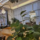 다옴헤어 이미지