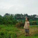 에덴농장 2 이미지