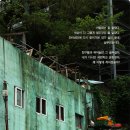 유년시절 이미지