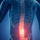 바른척척의원 이미지