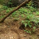 산본어린이집 이미지