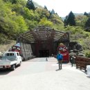 와인동굴 이미지