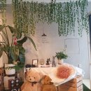 줌 갤러리카페 정이든케이크 이미지