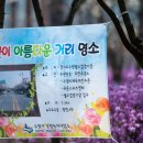 수원시 체육회주변 이미지