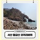허가바위 | 서산 황금산 코끼리 바위 가는 법 주차장 상세 후기