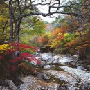 “단풍 끝난 줄 알았죠?” 늦가을에도 불타는 만추 명소 이미지