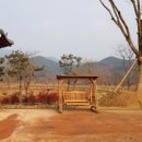 위천면사무소 이미지