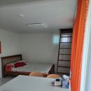 더 레이크 서지 이미지