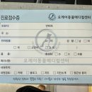 해봄동물병원 | 인천 송도 24시 동물병원 오케이동물병원에서 노견 건강검진 받고 온 후기 / 강아지 혈액검사 결과