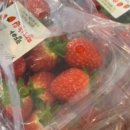 유리농장2 이미지