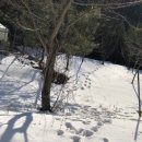 신궁마을회관 이미지