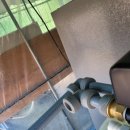 장균농장 이미지