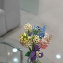 역전할머니맥주청라시티 | 청라맘스 추천 메이드유뷰티 루원시티 가정동 속눈썹 연장