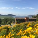 강화군 석모도자연휴양림 이미지