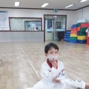 경희대상경태권도 이미지