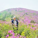 보성강5 이미지