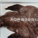 보경수산 이미지