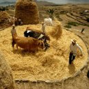 타작마당 이미지