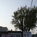 방일추어탕