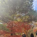 2차무선별 서리태랑 배추 이미지