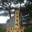 특이네민박 이미지