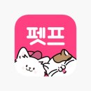 펫프렌즈 이미지