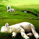 쉴만한 물가로 이미지