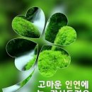 출렁다리(3) 이미지