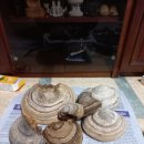 230-1-000034 이미지