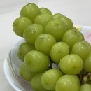 보령참숯갈비 이미지