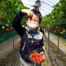 병설농장 이미지