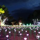 단양-단양-04 이미지