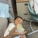 몽고반점 - 용인시 기흥구 평촌2로1번길 23 | 몽고반점