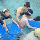 다운초등학교병설유치원 이미지