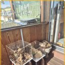 능이버섯백숙전문점 이미지