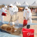 북구종합운동장 제2축구장 이미지