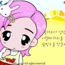 미스터케이