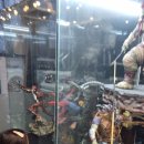 오도72갈비 이미지