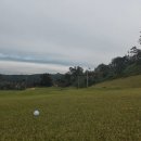 모나크cc 이미지