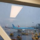 왕벚꽃식당 | 제주도 여행 DAY 1, 제주공항 근처 갈치 맛집 충민정과 D&amp;DEPARTMENT JEJU, 프라이탁 스토어 구경