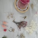 세천초등학교 이미지