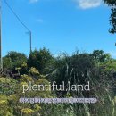 플랜티풀랜드 이미지